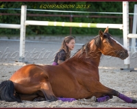 2-13JUIN 0690